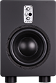 TS110 Subwoofer