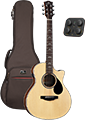 FCE Mini K10Pro Rosewood Body Natural